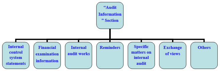 Audit Information section