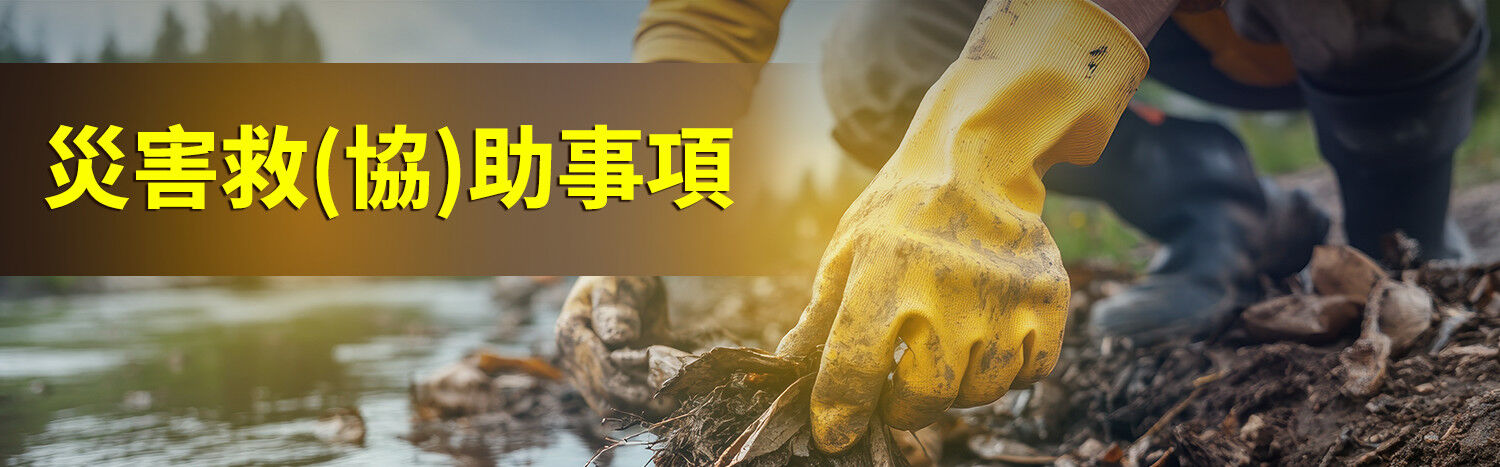 災害救協助事項(替代文字)